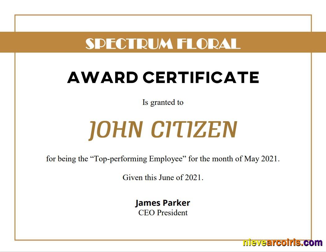 USA Award Certificate